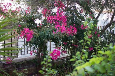 Glyfada Riviera Home Athen Eksteriør billede