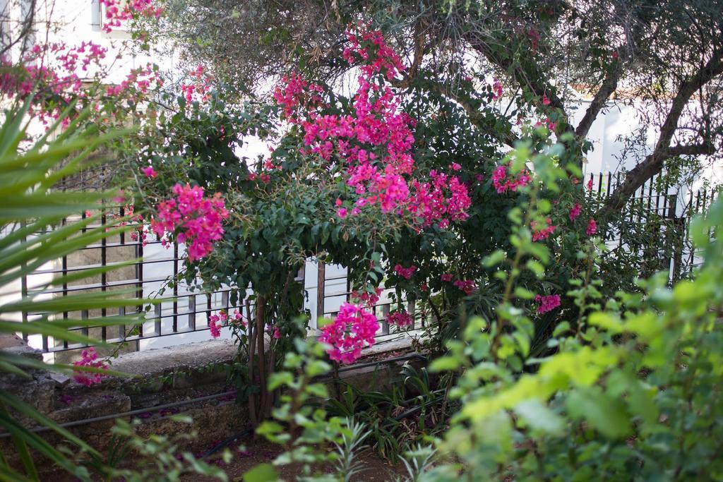 Glyfada Riviera Home Athen Eksteriør billede